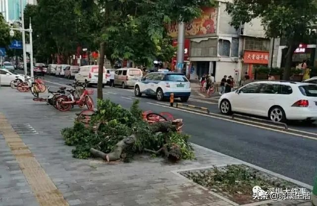 深圳一女司机开保时捷冲上人行道,划伤一外国人手臂, 你怎么看?