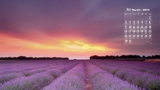 2014年3月日历壁纸|2014年3月日历壁纸桌面