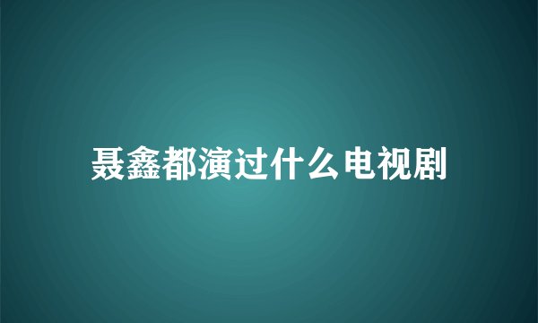 聂鑫都演过什么电视剧