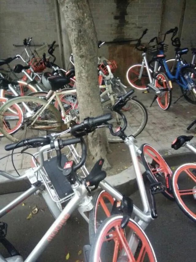 部分微博网友反映没车骑，摩拜单车正在消失？