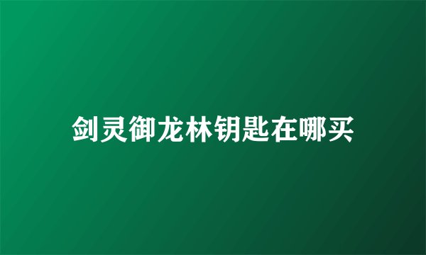 剑灵御龙林钥匙在哪买