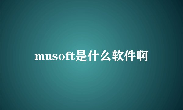 musoft是什么软件啊