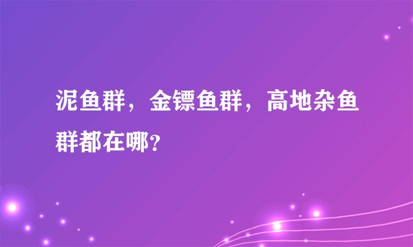 泥鱼群，金镖鱼群，高地杂鱼群都在哪？