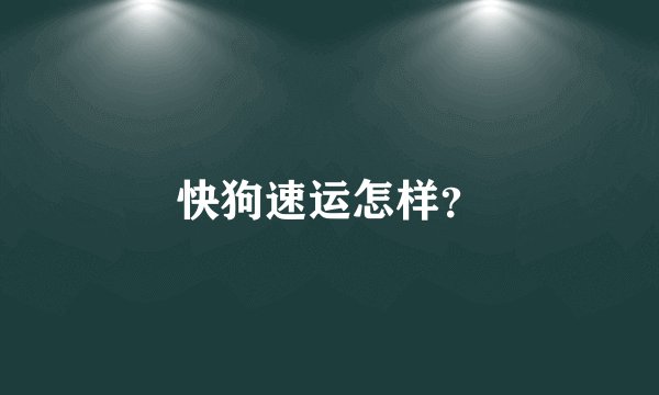 快狗速运怎样？