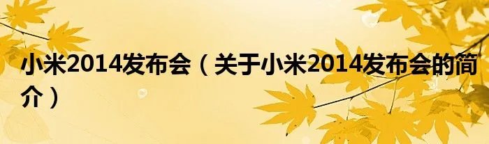 小米2014发布会（关于小米2014发布会的简介）
