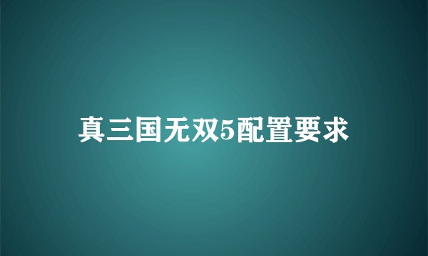 真三国无双5配置要求