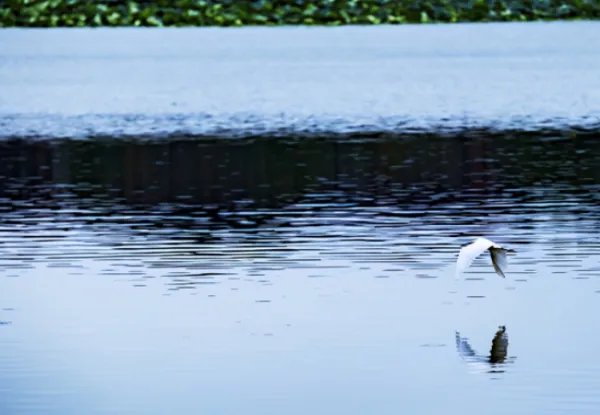 武汉旅游景点排名前十名