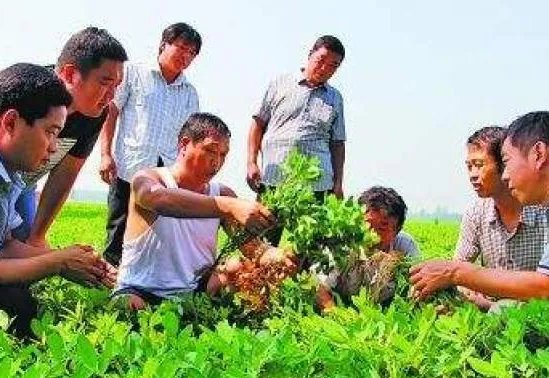 合作社如何取名？