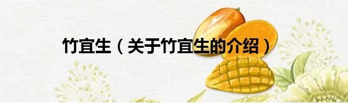 竹宜生（关于竹宜生的介绍）