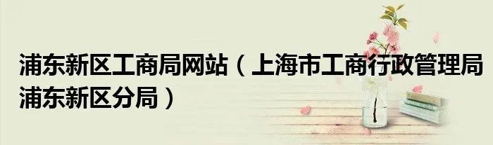 浦东新区工商局网站（上海市工商行政管理局浦东新区分局）