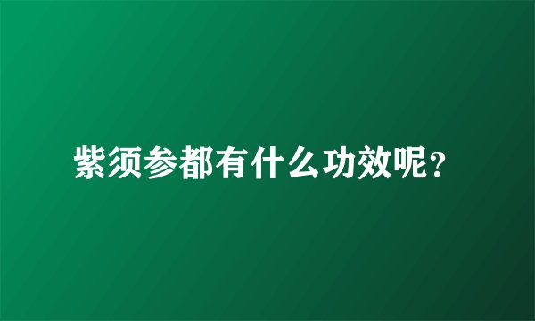 紫须参都有什么功效呢？