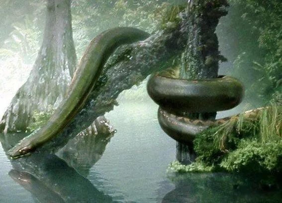 塞雷洪泰坦蟒的图片长什么样 有多大灭绝了吗