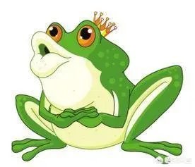 关于51岁烈士母亲生双胞胎被骂，你怎么看？