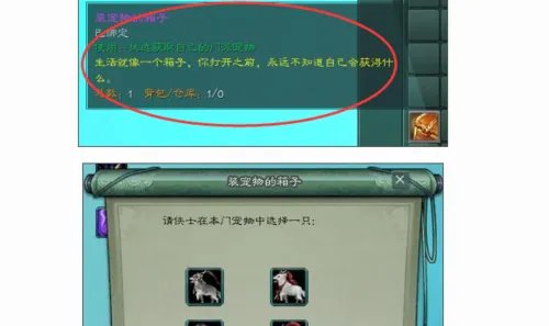 协助照料细勘察冰块