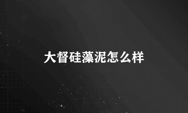 大督硅藻泥怎么样