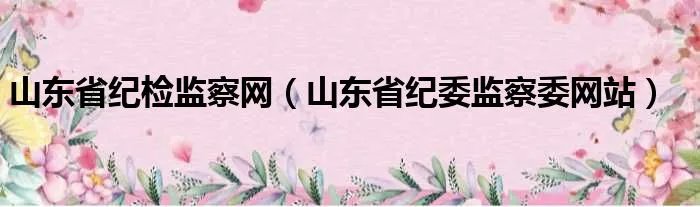山东省纪检监察网（山东省纪委监察委网站）