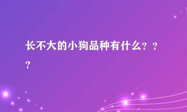 长不大的小狗品种有什么？？？