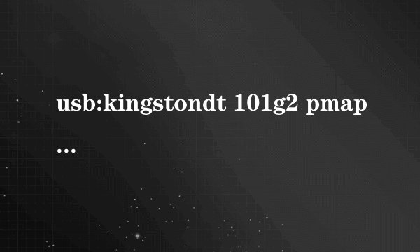 usb:kingstondt 101g2 pmap是什么意思