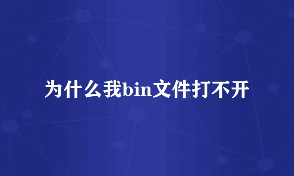 为什么我bin文件打不开