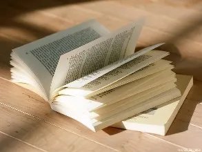 像《穷小子的都市艳遇》这类都市小说还有推荐么?