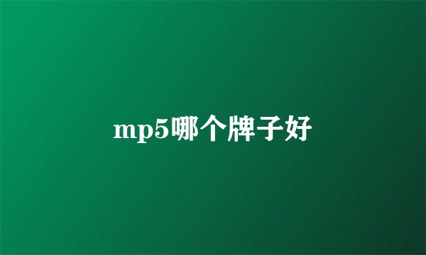 mp5哪个牌子好