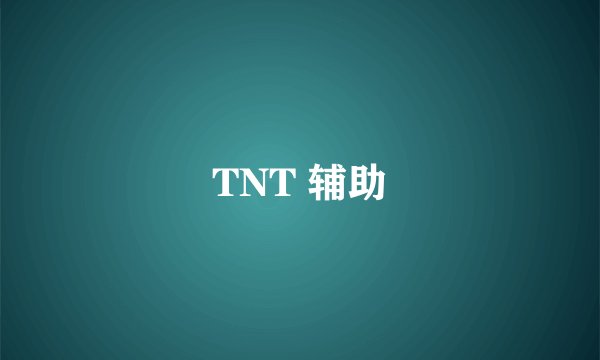 TNT 辅助