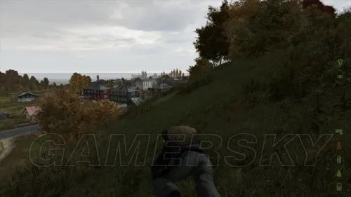 《武装突袭2：DayZ》新手图文指南