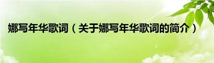 娜写年华歌词（关于娜写年华歌词的简介）