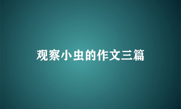 观察小虫的作文三篇
