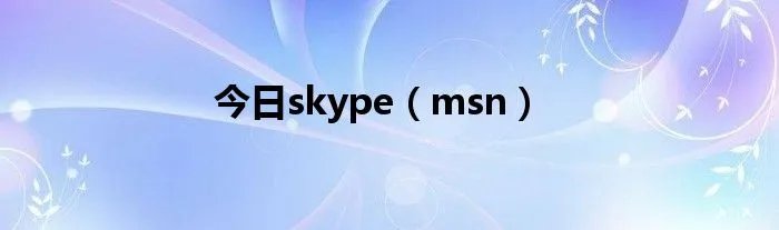 今日skype（msn）