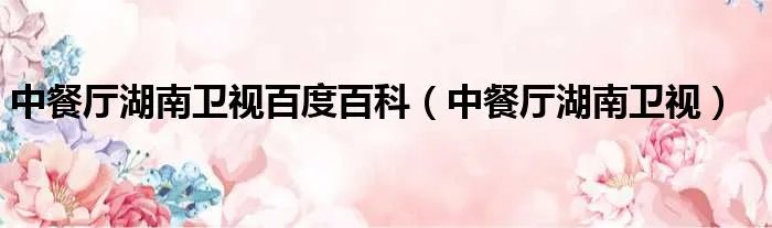 中餐厅湖南卫视百度百科（中餐厅湖南卫视）