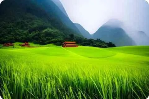 2020年清明节寄语大全