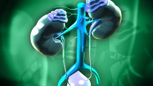 什么是紫癜性肾炎