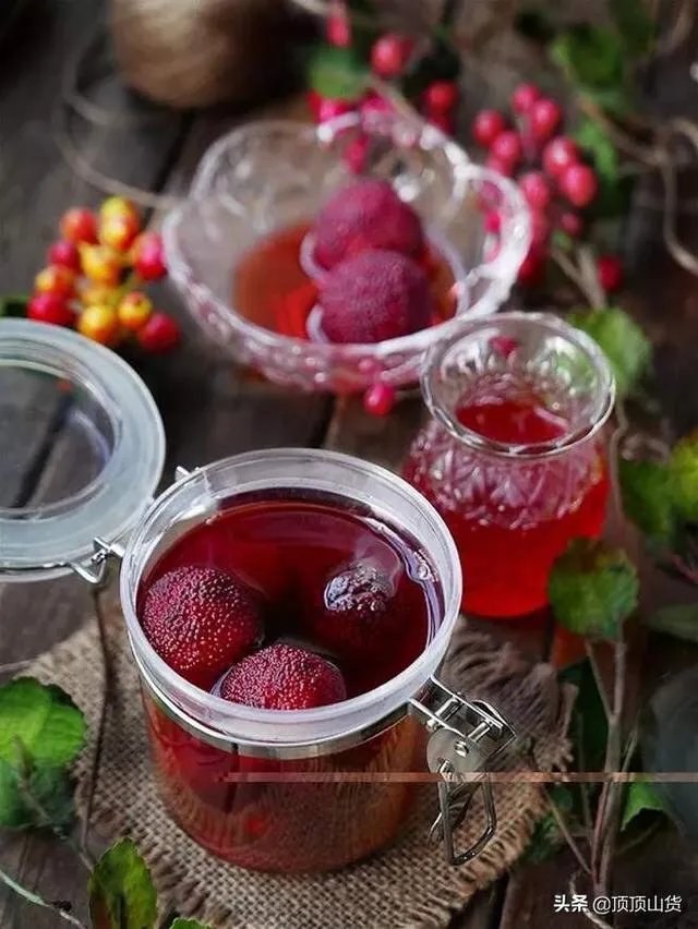 杨梅苗木栽培需要注意哪些事项？有没有什么好方法？