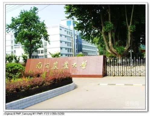 南京农业大学工学院教务处