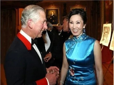 王健林是谁女婿 老婆林宁究竟是谁