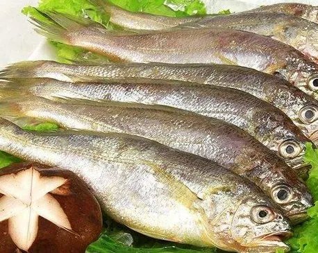 深圳市价格监督检查局立案调查＂天价小黄鱼＂事件是怎么回事？