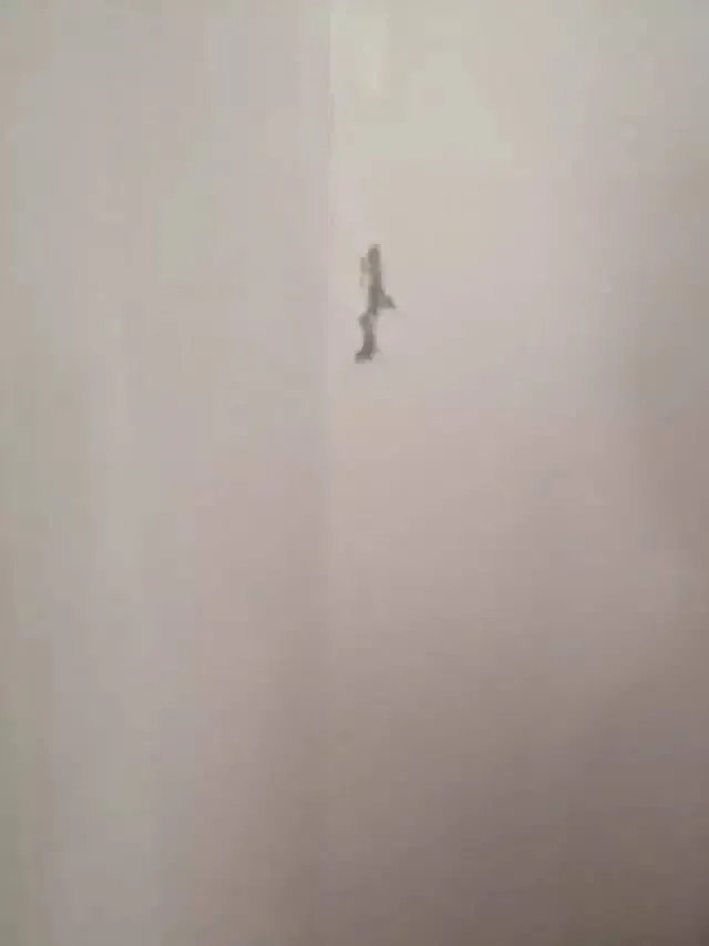 齐家公益验房量房走进哈西阳光家园小区