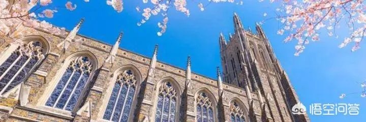 美国哪些法学院的LLM可以直接转JD？