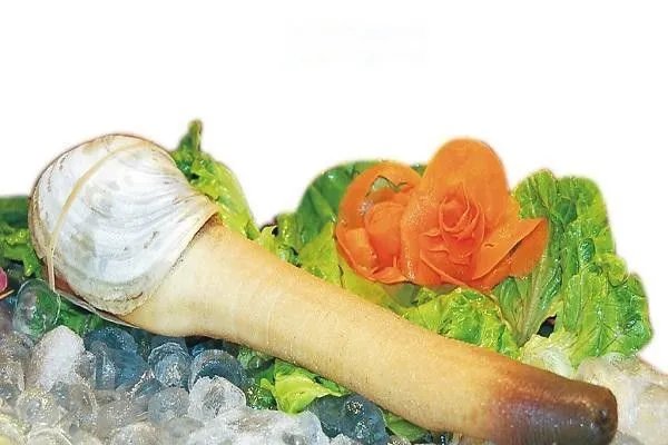 象拔蚌是什么东西 为什么象拔蚌长得那么像男生的