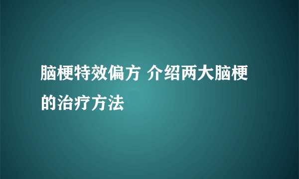 脑梗特效偏方 介绍两大脑梗的治疗方法