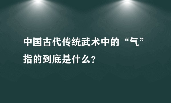 中国古代传统武术中的“气”指的到底是什么？