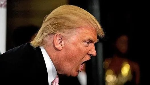 特朗普为什么建议推迟美国总统选举？