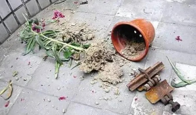 高空抛物明确责任 这到底是怎么回事