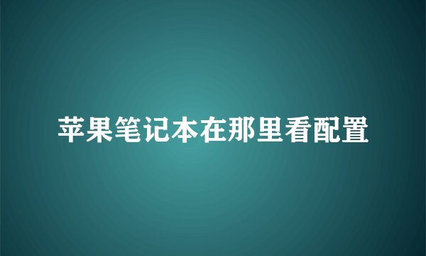 苹果笔记本在那里看配置