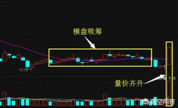 强制退市新规发布，垃圾股是否不行了？你怎么看？