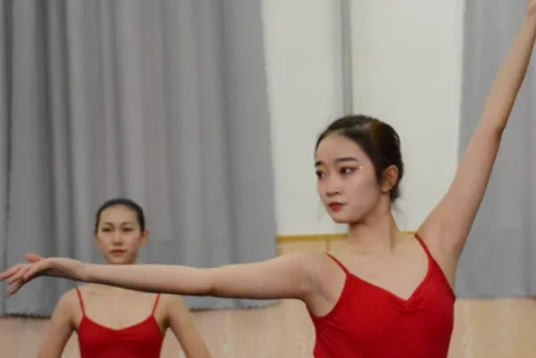 丰满的近反义词