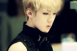 exo成员资料及图片