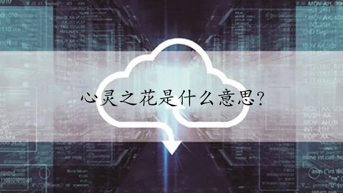 心灵之花是什么意思？
