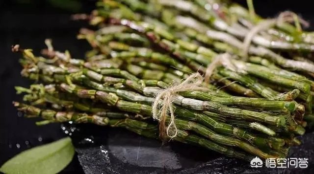 石斛的保存方法各位知道吗?